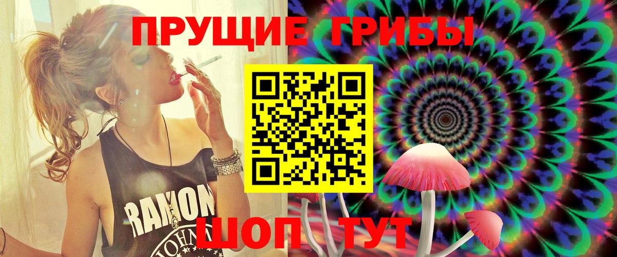 Псилоцибиновые грибы мухоморы Ленинск-Кузнецкий